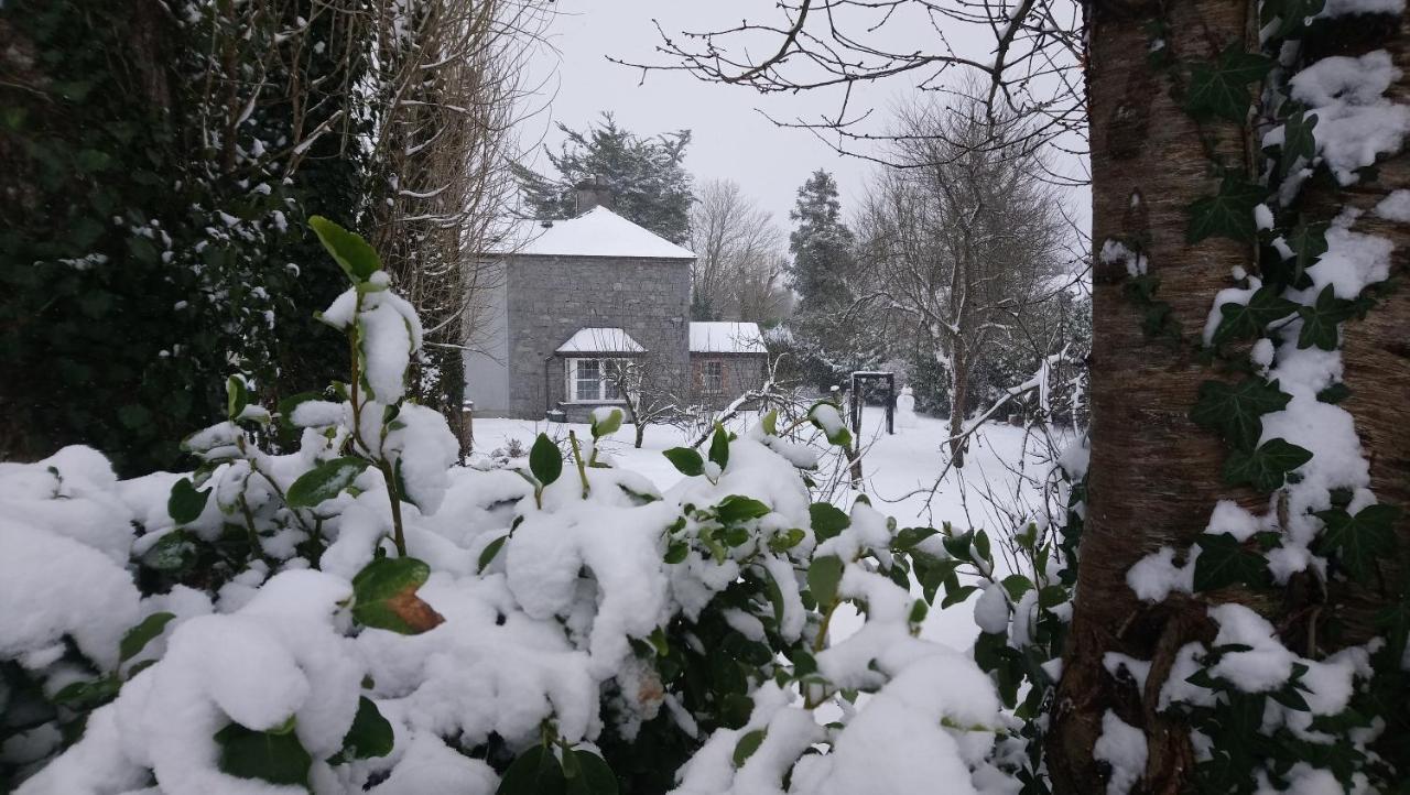 Knockaderry House Acomodação com café da manhã Ennis Exterior foto